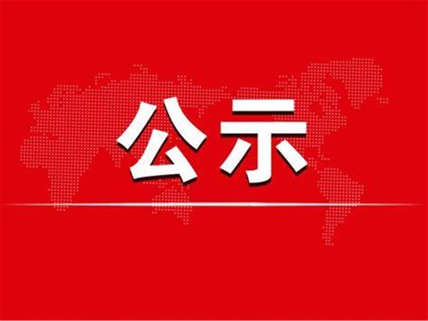 2020年度聊城市旅游發(fā)展集團股份有限公司部門決算